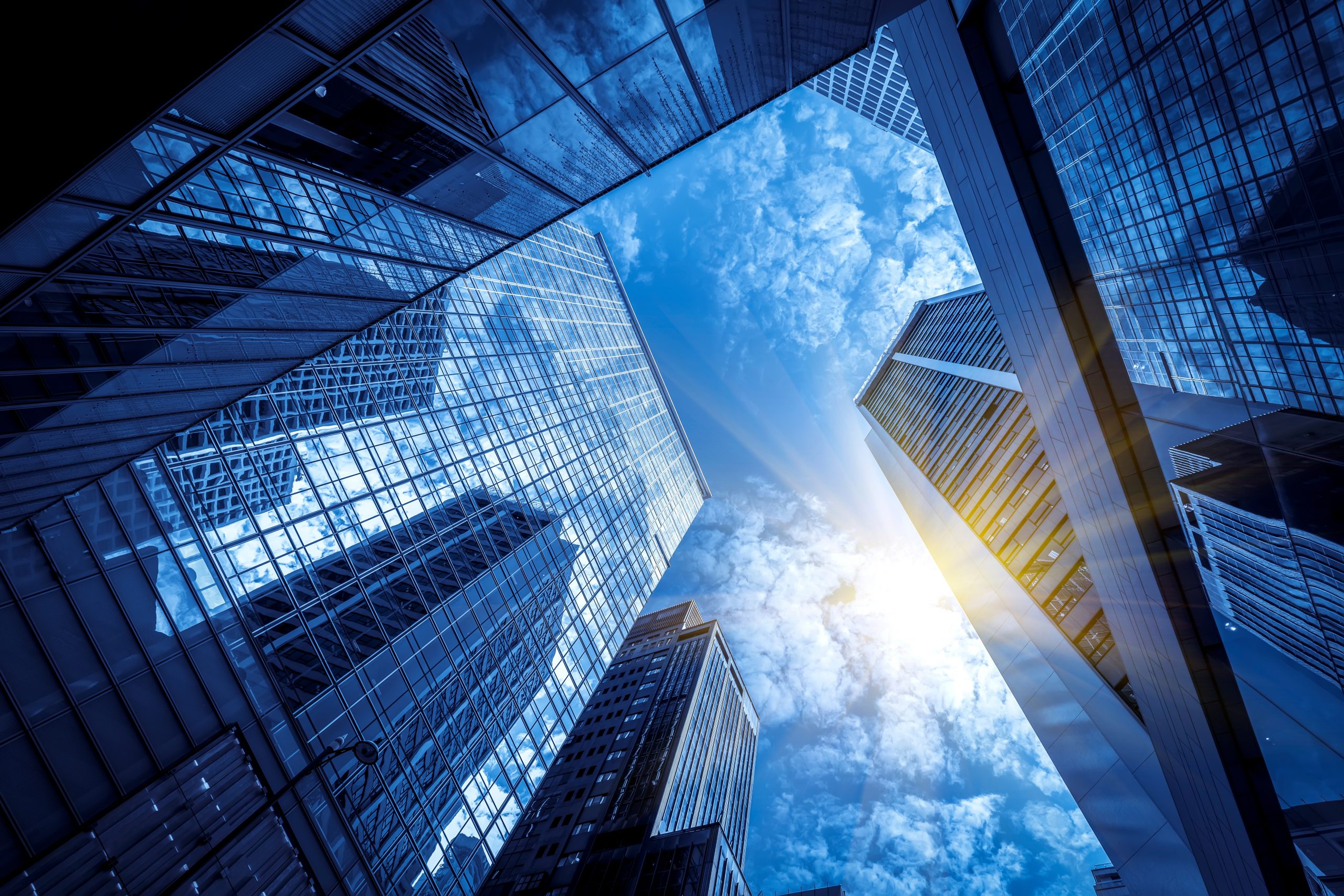 Vignette FWD Insurance